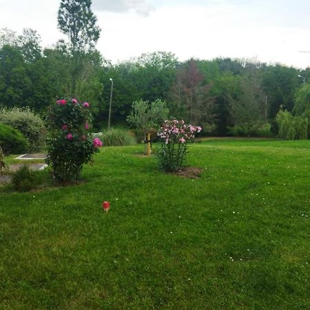 Chambre Avec Entree Independante Dans Un Ecrin De Verdure Dommartin  Eksteriør billede